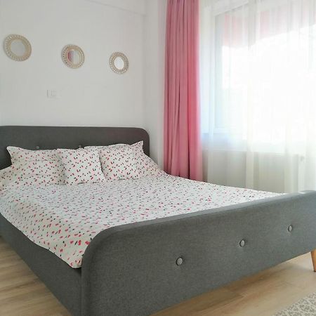 Cozy Apartment Bujorilor Suceava Exteriör bild