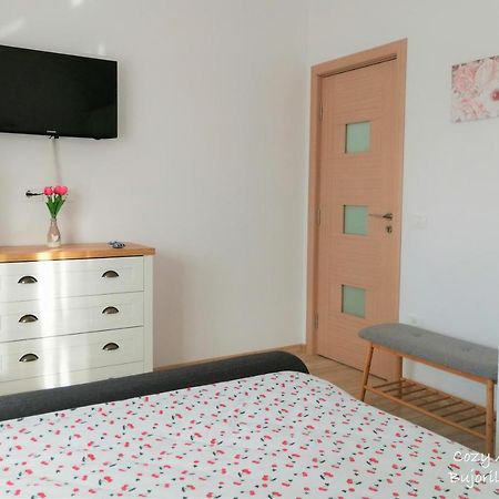 Cozy Apartment Bujorilor Suceava Exteriör bild