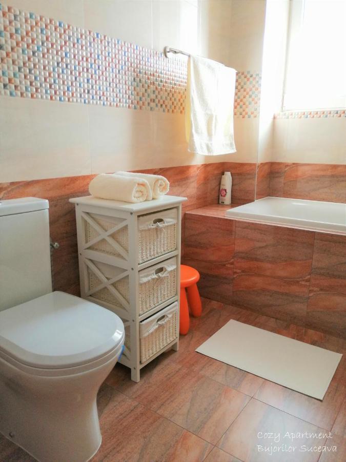 Cozy Apartment Bujorilor Suceava Exteriör bild