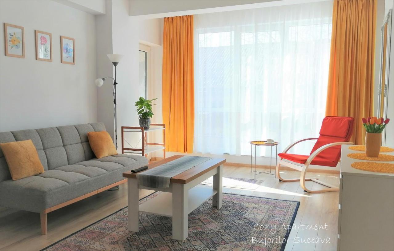 Cozy Apartment Bujorilor Suceava Exteriör bild