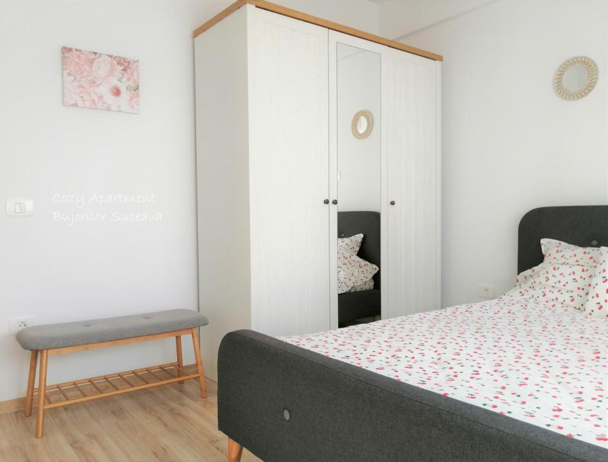 Cozy Apartment Bujorilor Suceava Exteriör bild