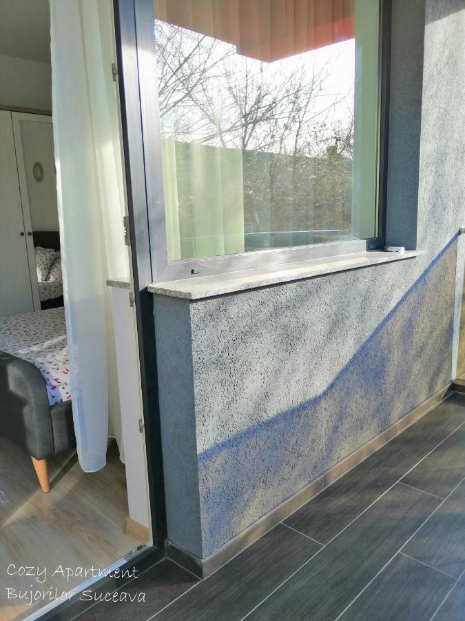 Cozy Apartment Bujorilor Suceava Exteriör bild