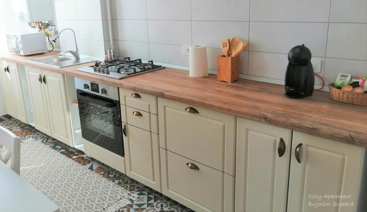Cozy Apartment Bujorilor Suceava Exteriör bild