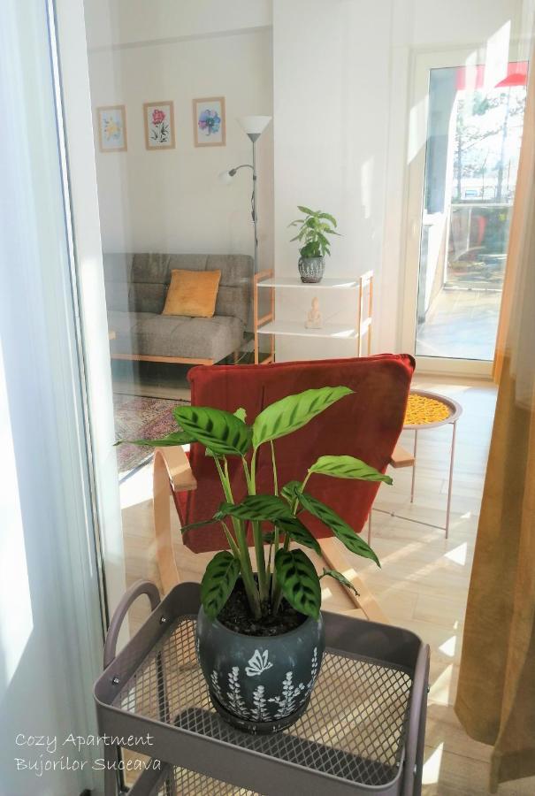Cozy Apartment Bujorilor Suceava Exteriör bild