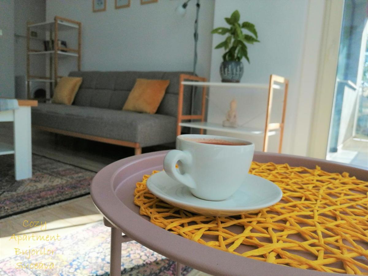 Cozy Apartment Bujorilor Suceava Exteriör bild