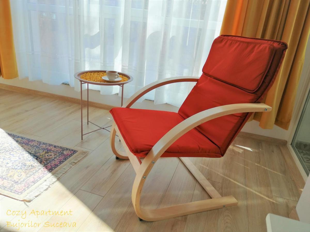 Cozy Apartment Bujorilor Suceava Exteriör bild