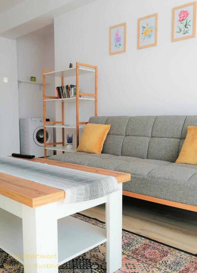 Cozy Apartment Bujorilor Suceava Exteriör bild