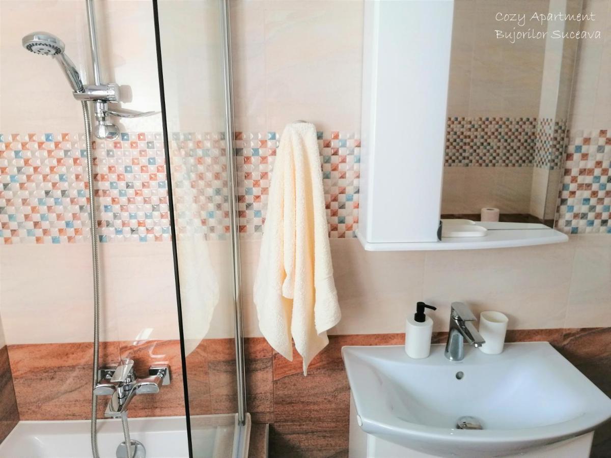 Cozy Apartment Bujorilor Suceava Exteriör bild