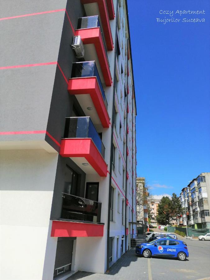 Cozy Apartment Bujorilor Suceava Exteriör bild