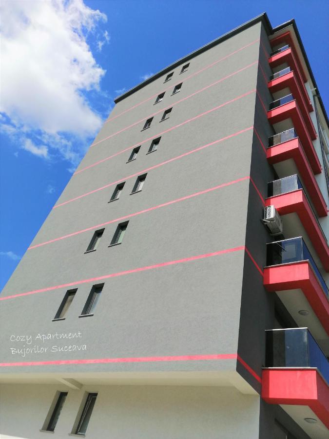 Cozy Apartment Bujorilor Suceava Exteriör bild