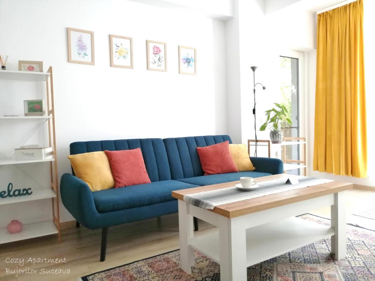 Cozy Apartment Bujorilor Suceava Exteriör bild